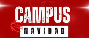 Captura de pantalla 2025-12-12 094950